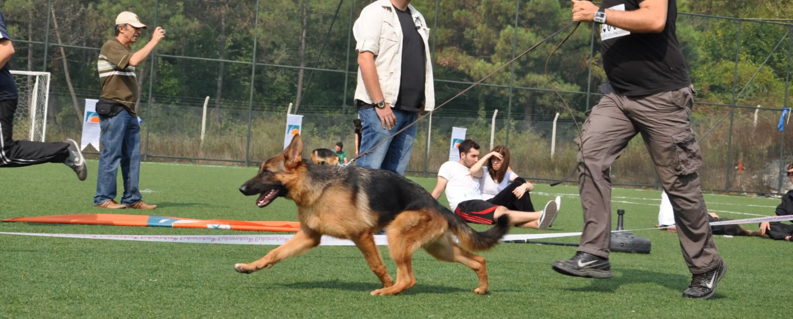 Planlanan Çiftleşmeler